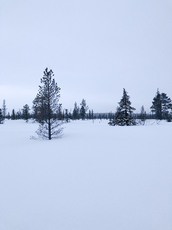 Fiorello Photography Kiruna Sweden ICEHOTEL - Travel Photography