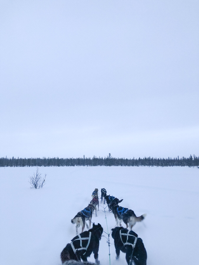 Fiorello Photography Kiruna Sweden ICEHOTEL - Travel Photography