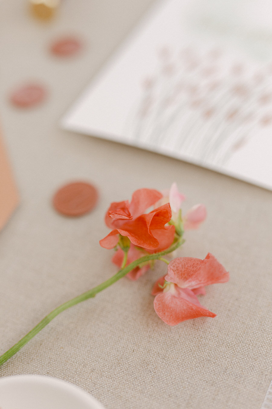 Summer Christening in Greece by Fiorello Photography