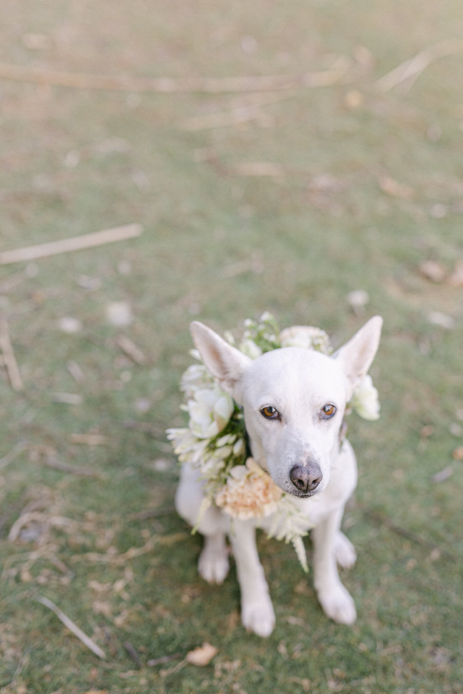 Botticelli Inspired Wedding Editorial in Greece Fiorello Photography