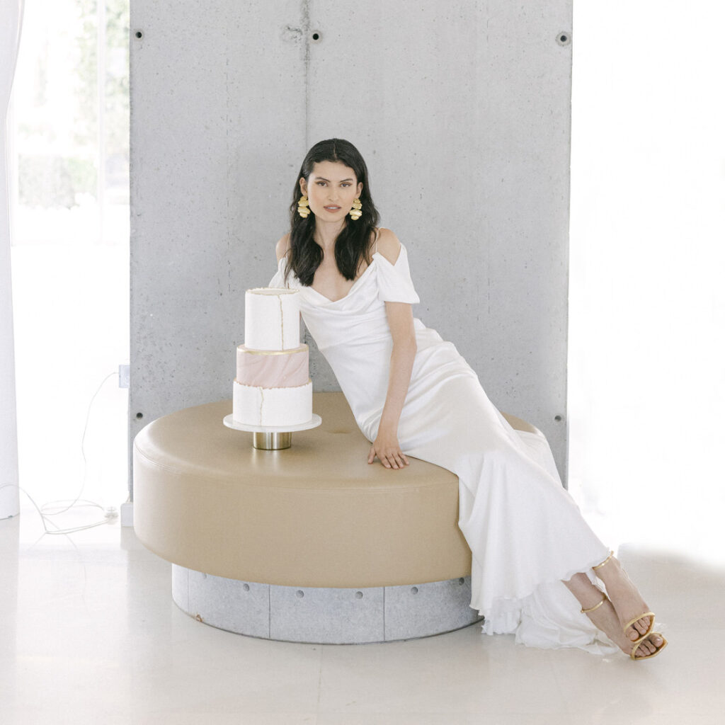 Modern Style Wedding Photo Shoot